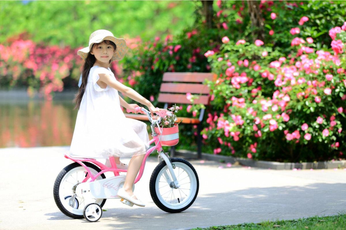 Các mẫu xe đạp cho bé gái từ 3 - 9 tuổi